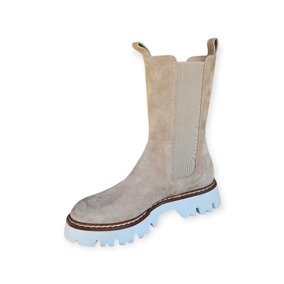 6538 Camoscia semola